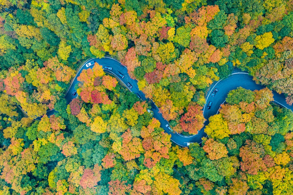 A drone view of the beautiful fall foliage in Smuggler's Notch, Stowe, Vermont.
