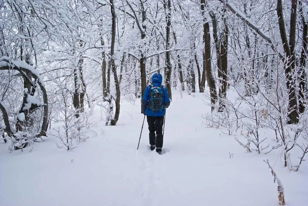 A person walks through the snowy forest on a Vermont winter getaway.