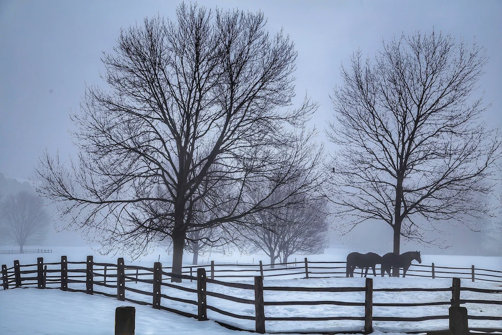 Winter farm fields at Billings Farm & Museum in Woodstock, Vermont.