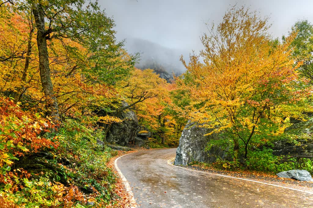 Fall foliage on a curvy part of Smuggler's Notch in Vermont.