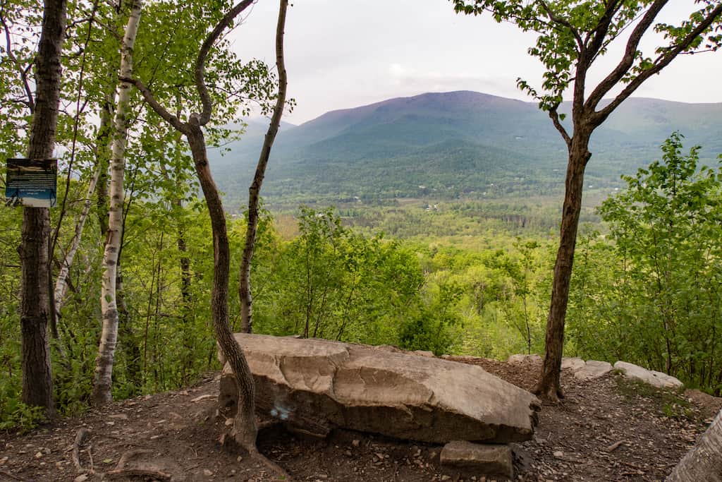 Art's Bench with a view of Mother Myrick Mountain.