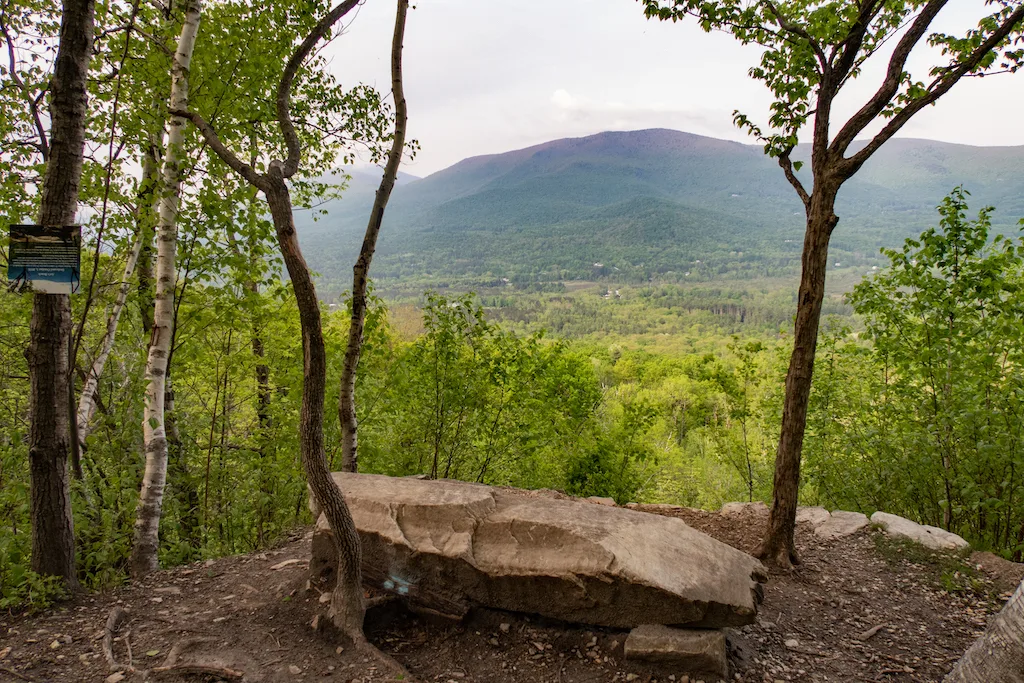 Art's Bench with a view of Mother Myrick Mountain.