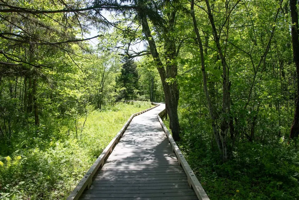 The Robert Frost Trail includes a  universally accessible boardwalk.