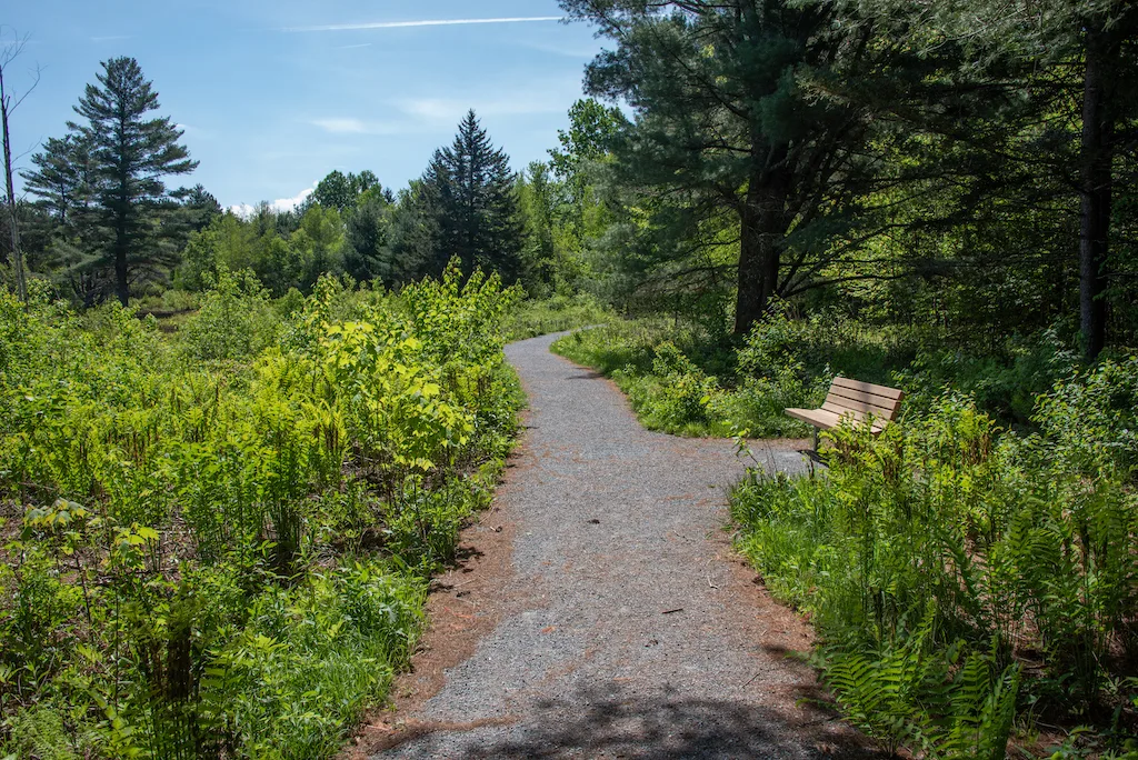 A bench along the Robert Frost Trail beckons visitors to stay and enjoy the view.
