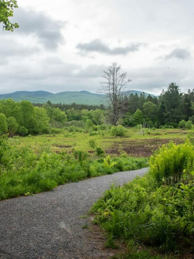 Explore the Robert Frost Trail in Ripton Vermont