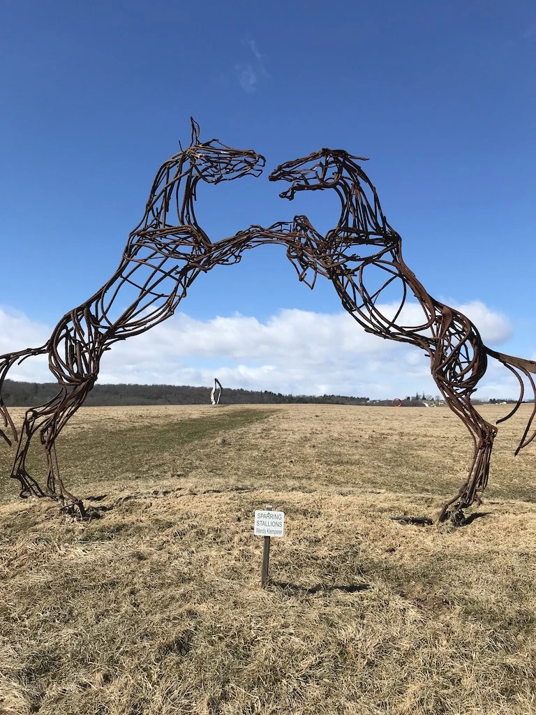 Sparring Stallions steel sculpture in Shoreham Vermont.