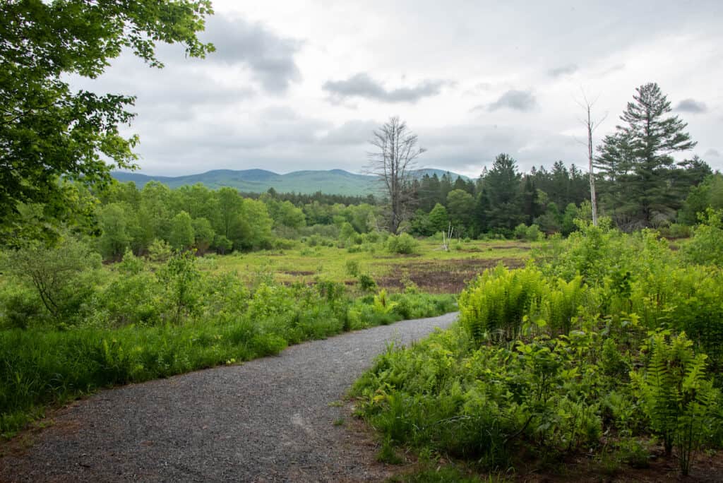 The Robert Frost Trail in Ripton, Vermont.