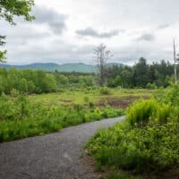 The Robert Frost Trail in Ripton, Vermont.