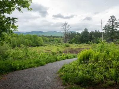 Take an Easy Walk on the Robert Frost Trail in Ripton, VT
