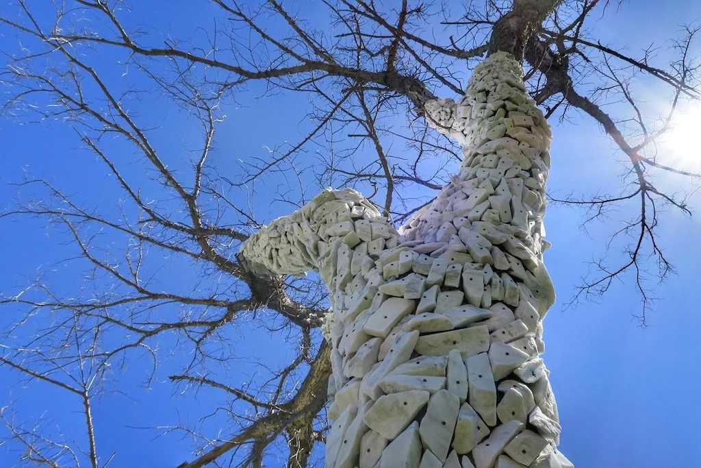 A sculpture at the Carving Studio in West Rutland featuring small pieces of marble screwed to a tree. 