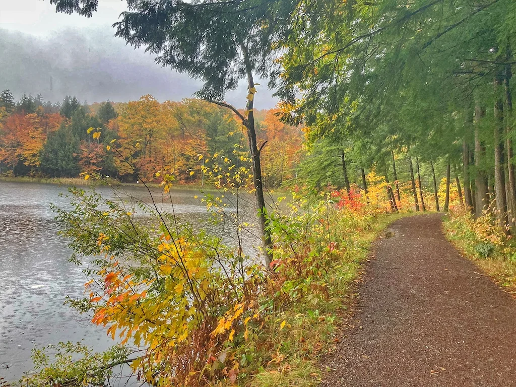 A trail leading around the Pogue in Woodstock, Vermont.