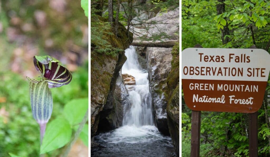 A collage of photos featuring Texas Falls in the Green Mountain National Forest.
