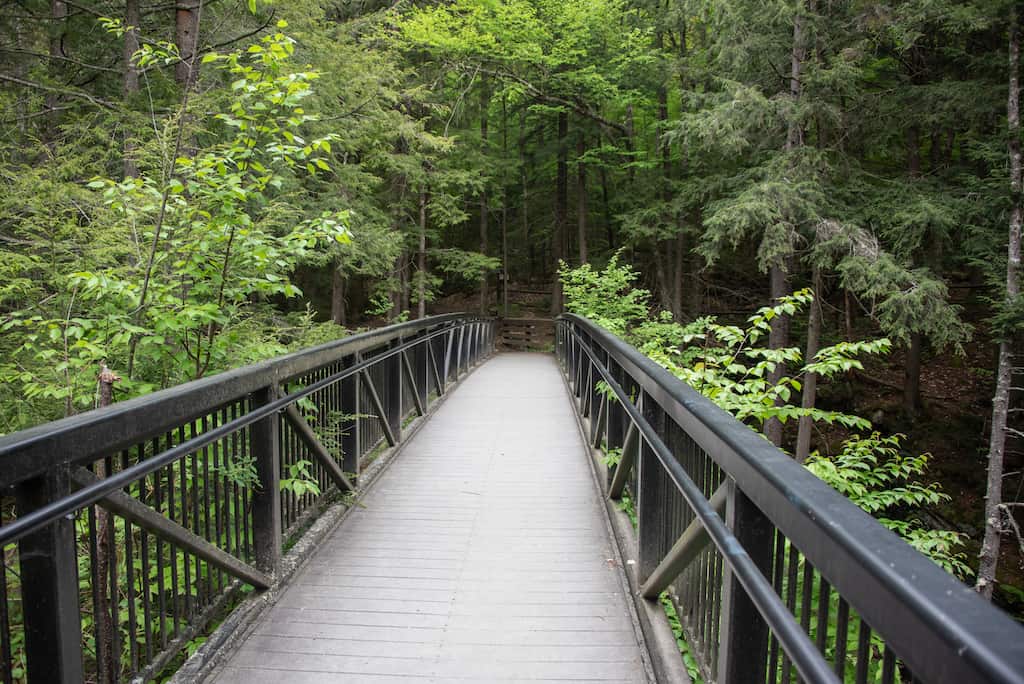The footbridge and viewing platform for Texas Falls in Vermont.