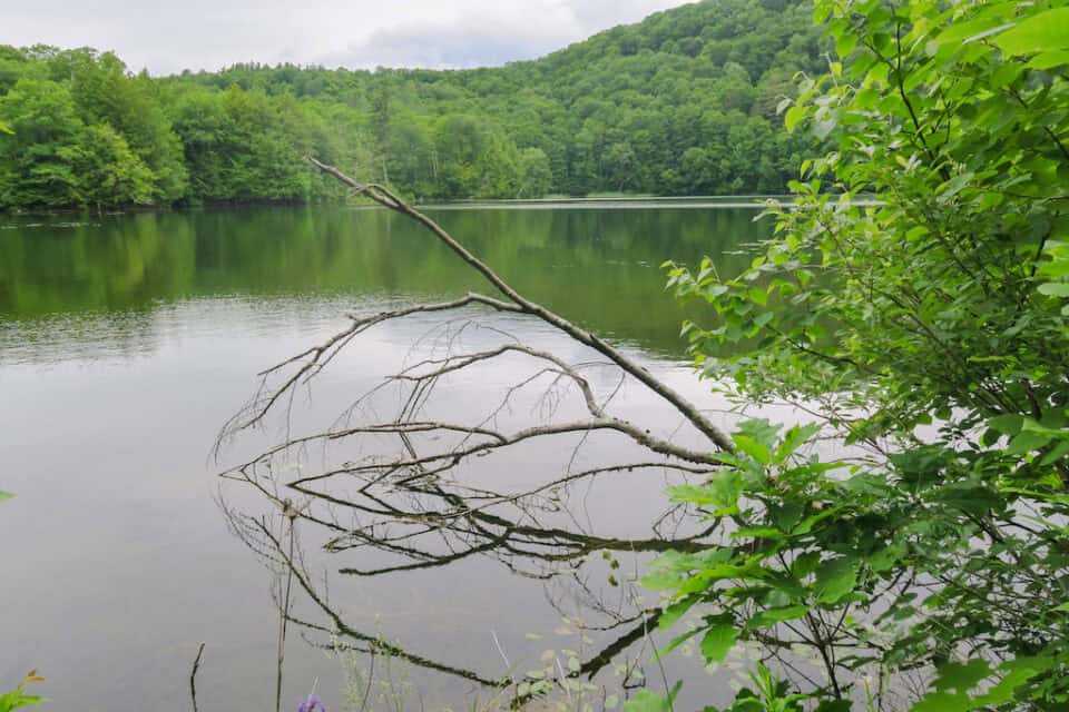 Vermont Day Trip Hike The Pogue and Mount Tom in Woodstock VT