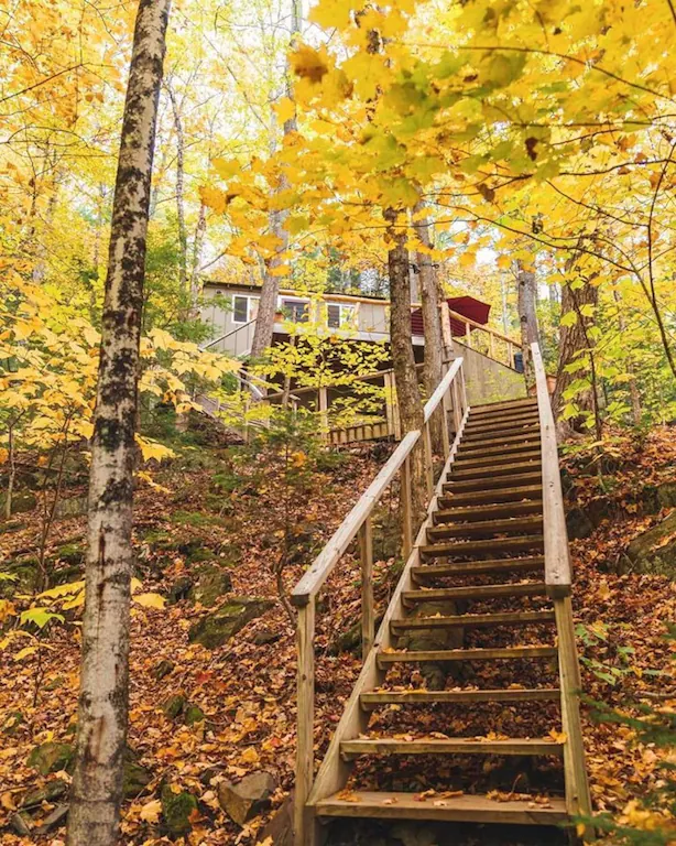 A set of wooden stairs leading to a Vermont tree cabin in the woods.