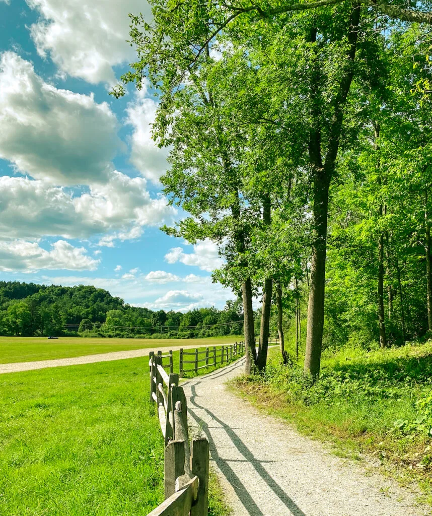 The Marble Rail Trail in Manchester, VT