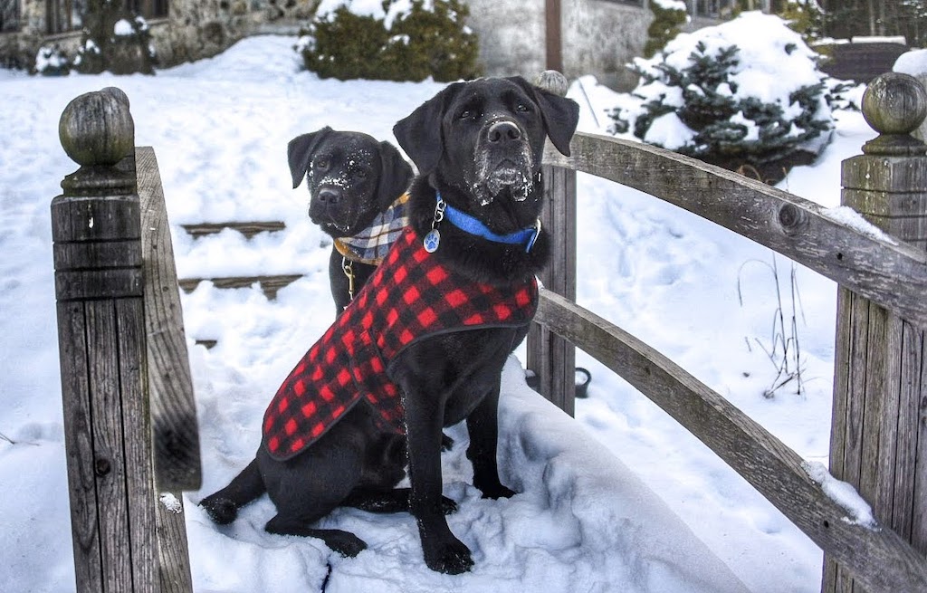 Flynn and Malinda sit on a footbridge in the snow in front of a pet-friendly cabin in Vermont.