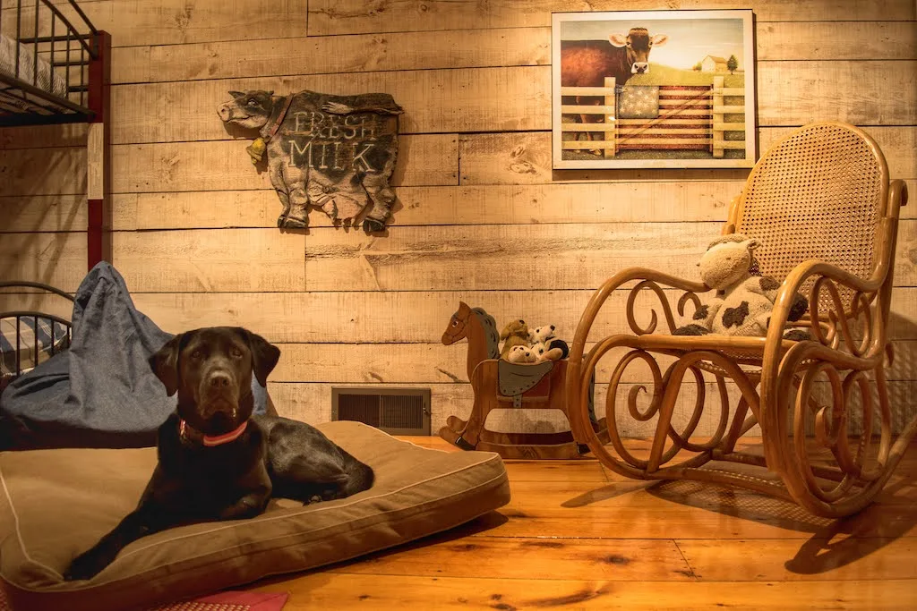A black lab lies on a dog bed in a pet friendly cabin rental in Vermont.