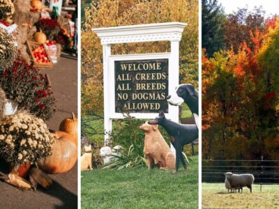 October in Vermont: 15 Fall Festivals to Celebrate the Season in 2022