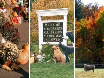 October in Vermont: 17 Fall Festivals to Celebrate the Season in 2023