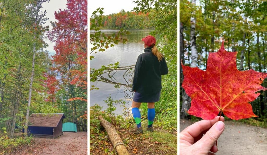 A collage of photos featuring fall in Brighton State Park.