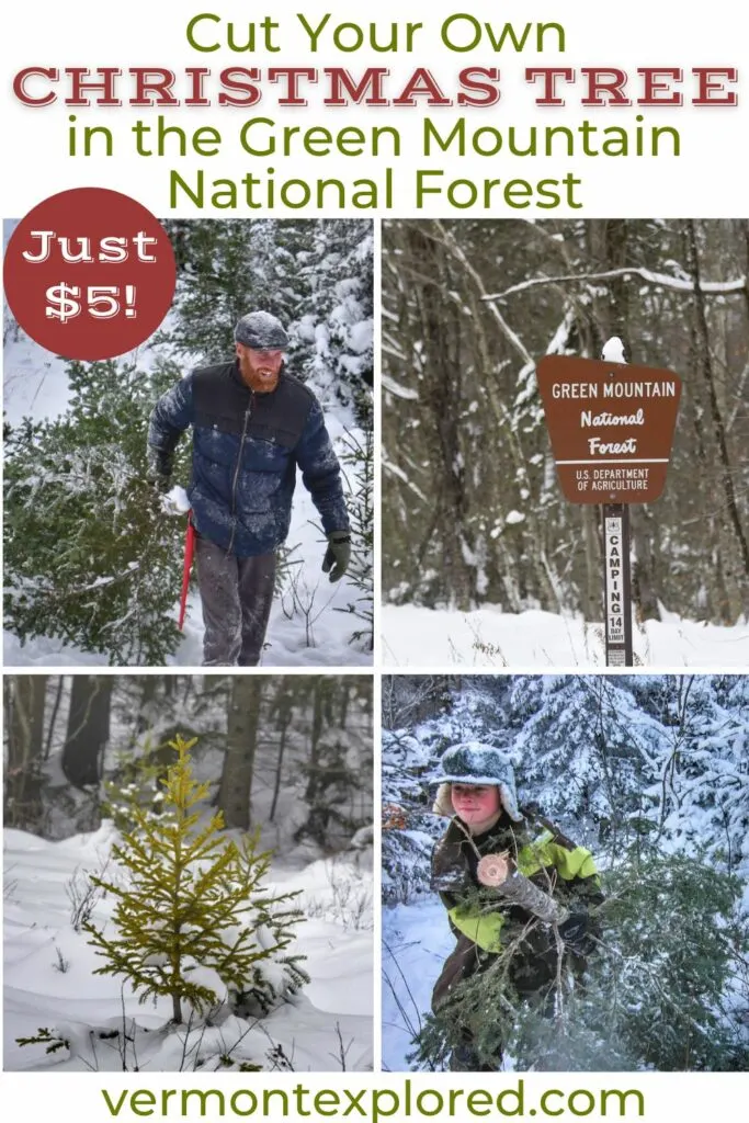 A collage of photos featuring Christmas Trees from the Green Mountain National Forest. Text overlay: Cut Your Own Green Mountain National Forest Christmas Tree