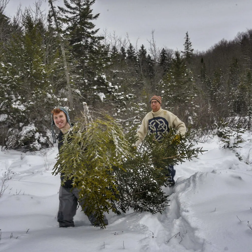 Eric and Gabe harvesting our Green Mountain National Forest Christmas tree. 