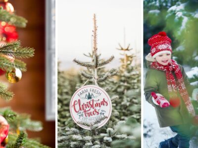 11 Beautiful Christmas Tree Farms in Vermont Where You Can Cut Your Own