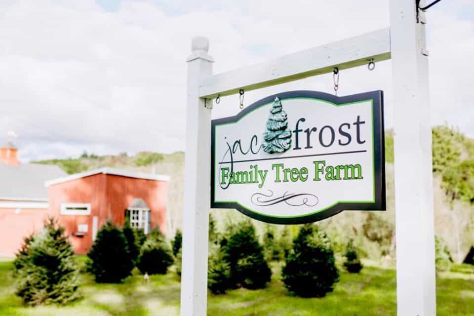 13 Beautiful Christmas Tree Farms in Vermont Where You Can Cut Your Own