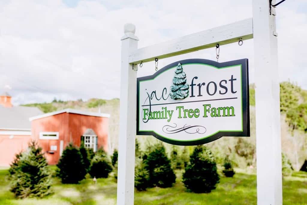 Sign out in front of Christmas trees that says JAC Frost Family Tree Farm. 