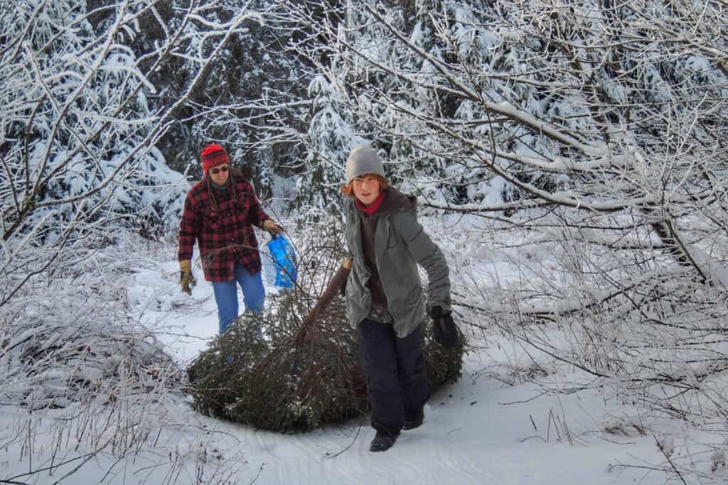 Janet and Gabe dragging our Christmas Tree from the Green Mountain National Forest. 