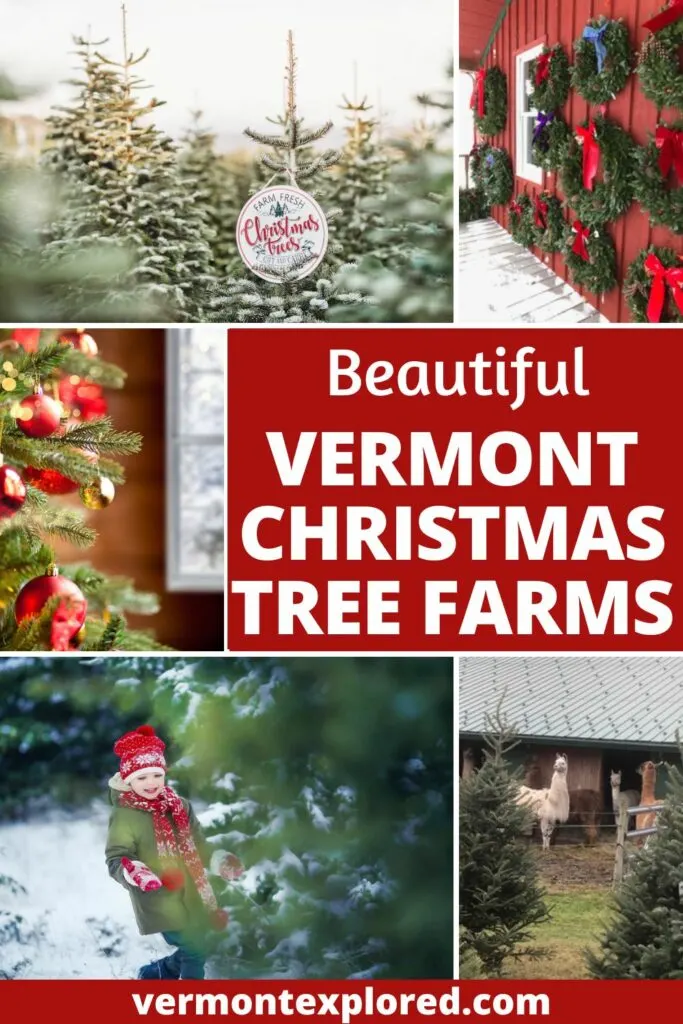 A collage of photos featuring Christmas tree farms in Vermont. Text overlay: Beautiful Vermont Christmas Tree Farms. 