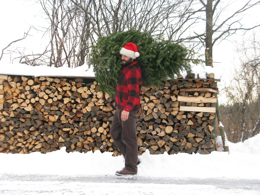 a man carries a chrismtas tree in front of a firewood pile at Werner Tree Farm. 