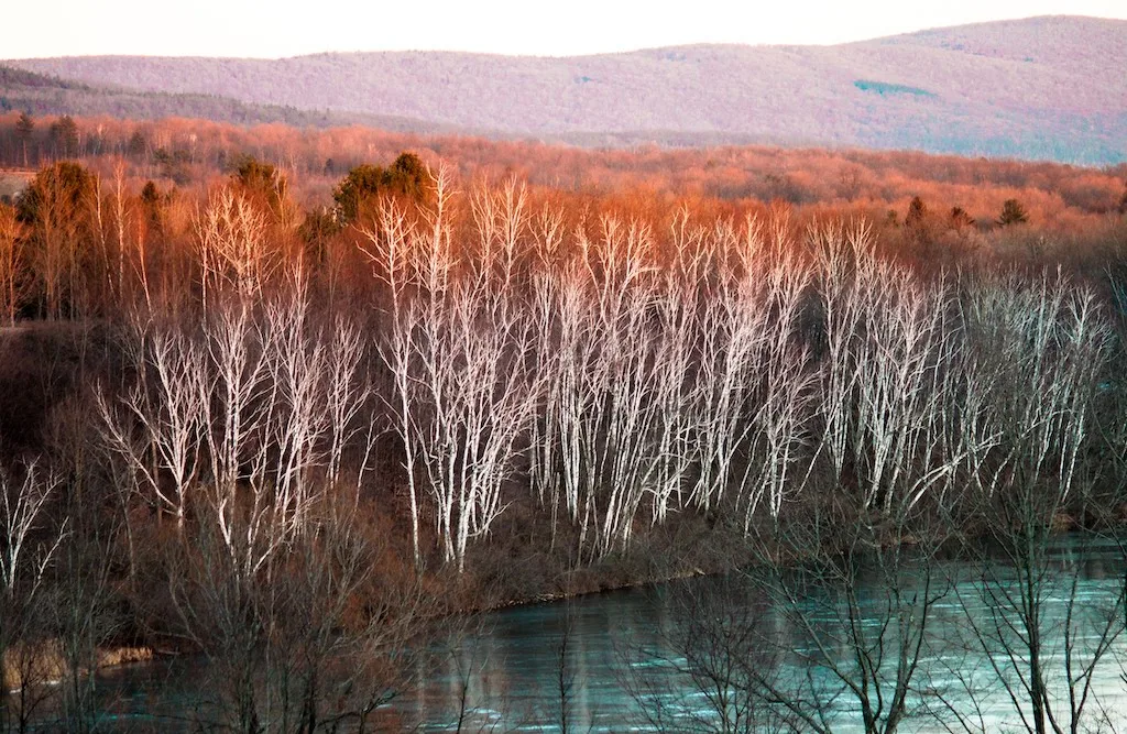 Lake Paran during stick season in Vermont.