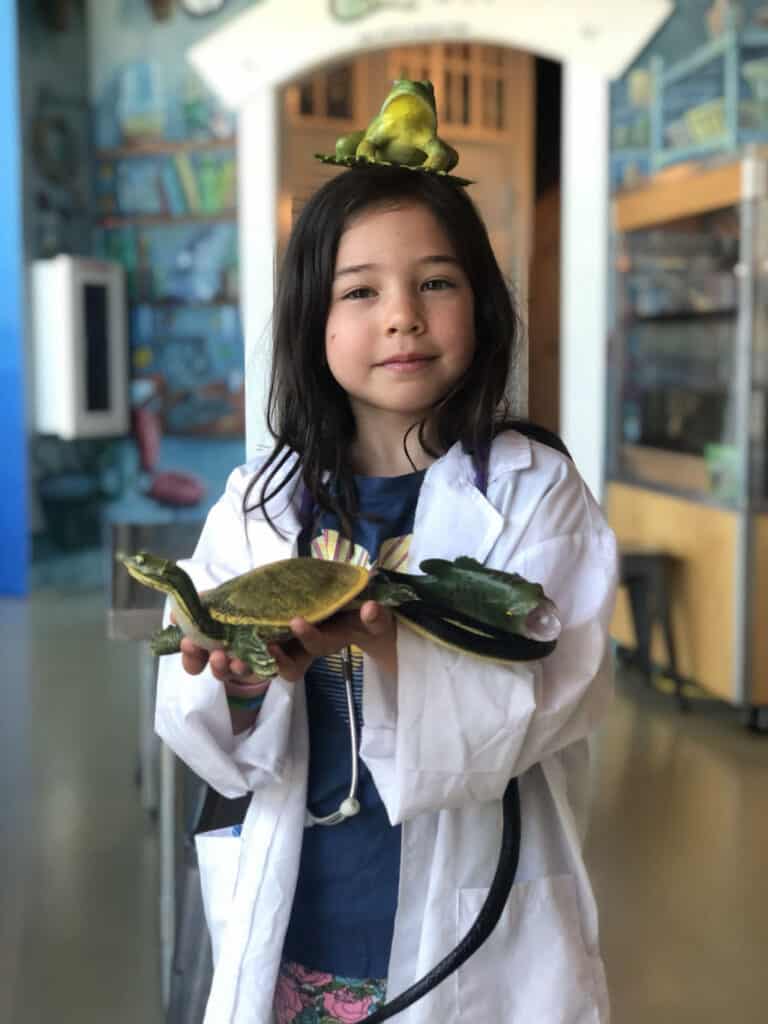 A child wears a white lab coat while holding a turtle at ECHO Center. 
