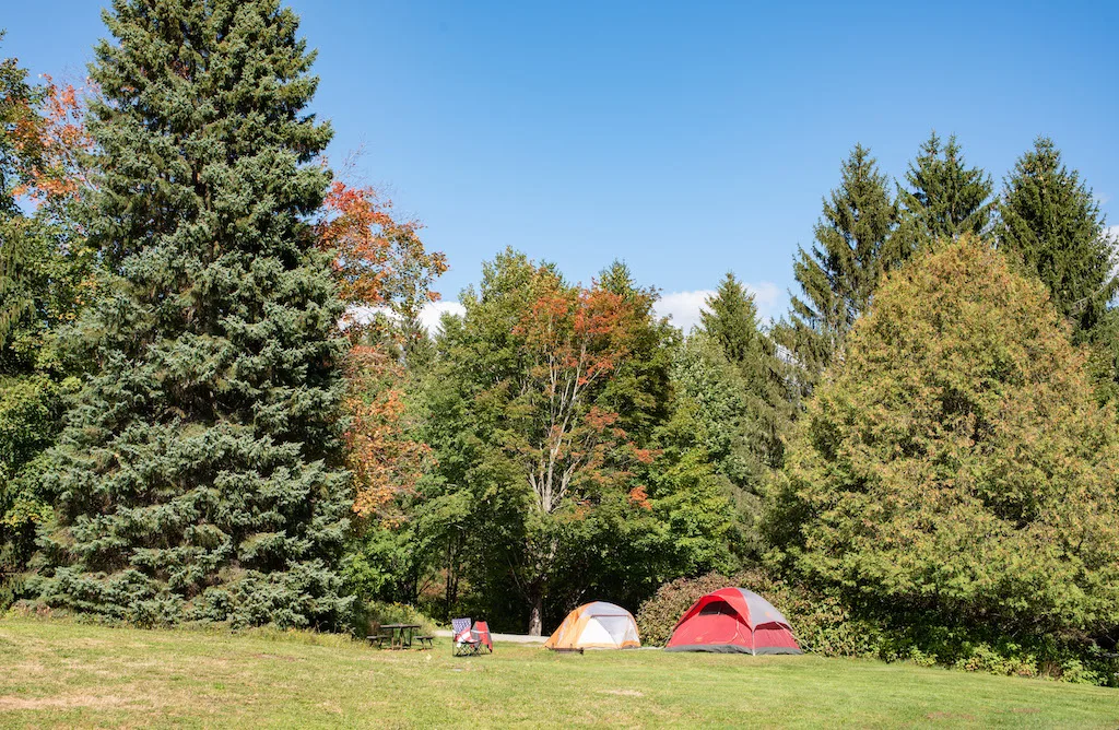 Tents pitched in a meadow at Elmore Lake State Park.