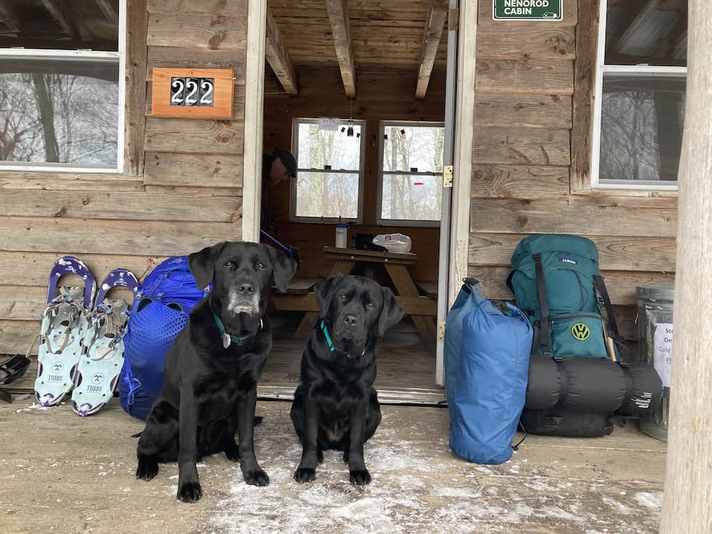 Two black labs sit on the porch of a Vermont cabin.