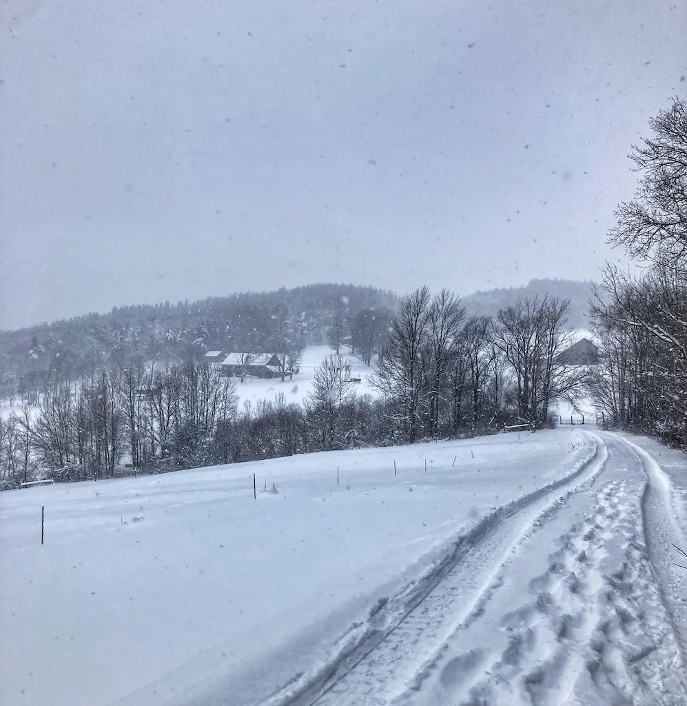 Snowy landscape at Merck Forest in Vermont