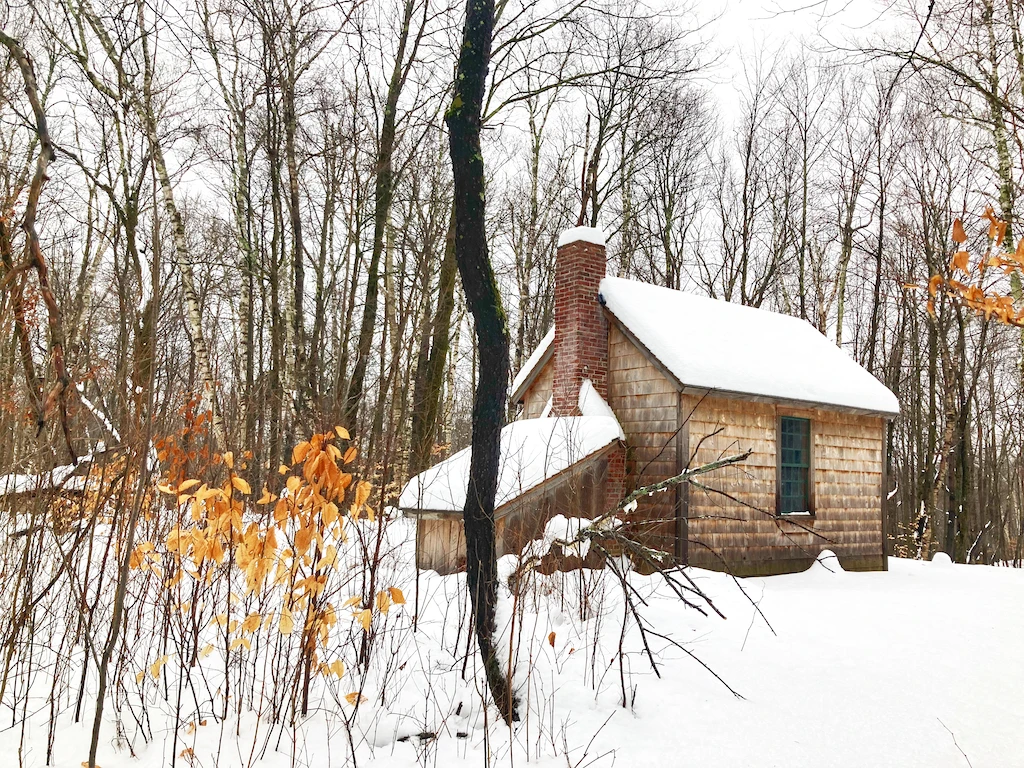 Thoreau cabin in Merck Forest surrounded by snow.