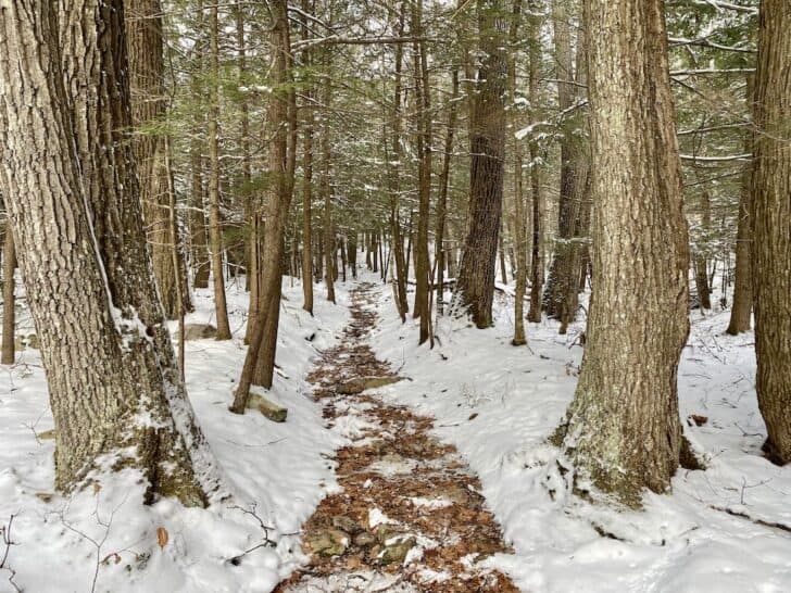 White Rocks Vt Take a Snowy Hike to White Rocks Overlook in Bennington, Vermont