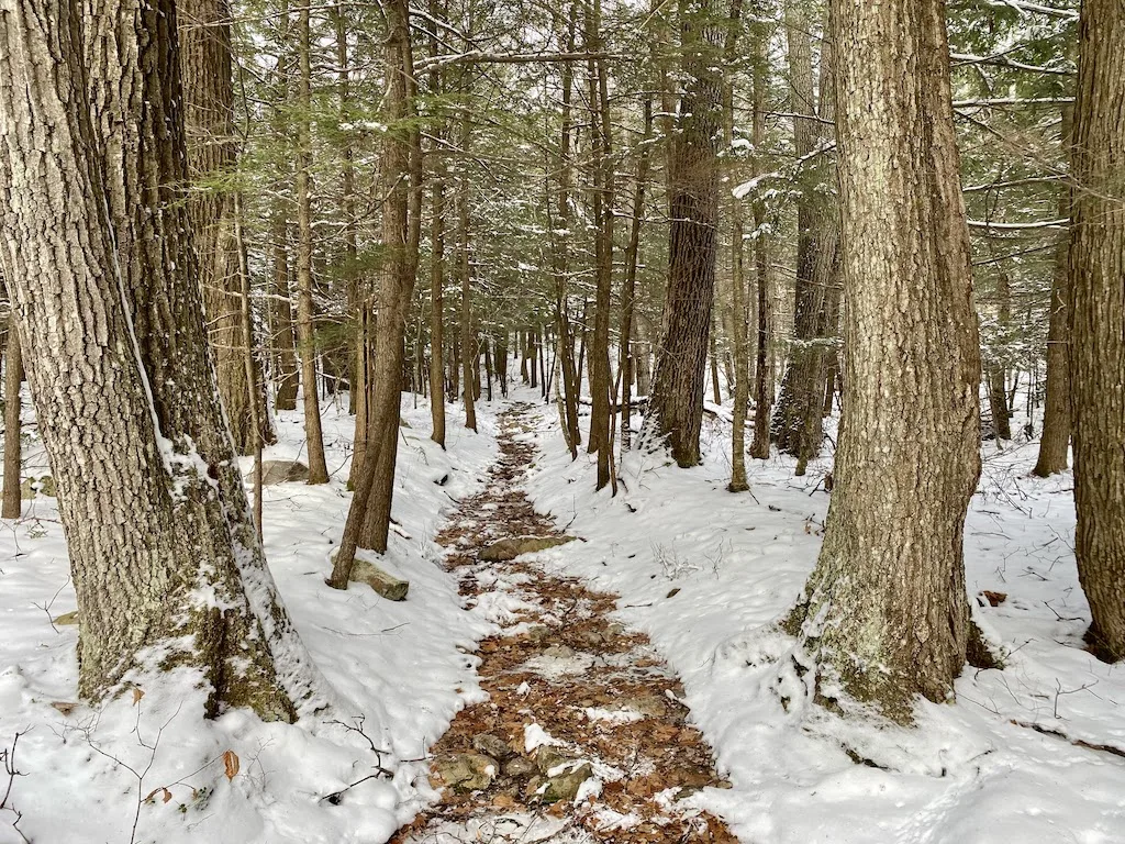 Snowy trail going to White Rocks in Bennington.