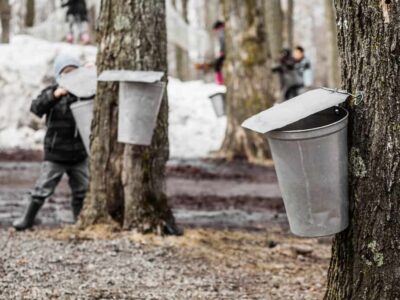 Visit These 12 Vermont Sugar Shacks to Learn How Maple Syrup is Made