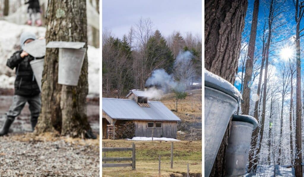 Maple sap buckets and Vermont maple sugar shacks. 