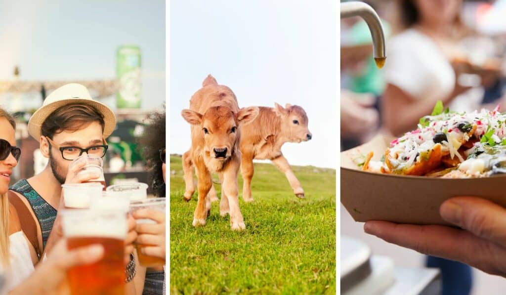 beer festivals, baby animals, and food trucks in Vermont.
