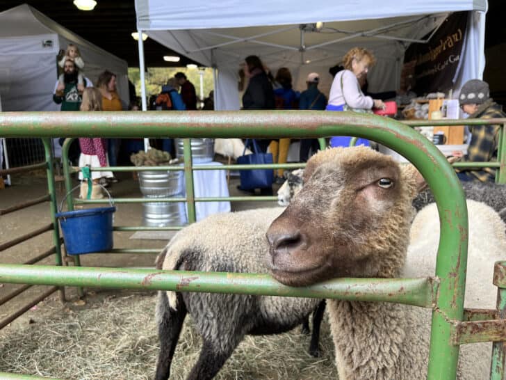 26 Iconic Vermont Festivals and Fairs You Won't Want to Miss