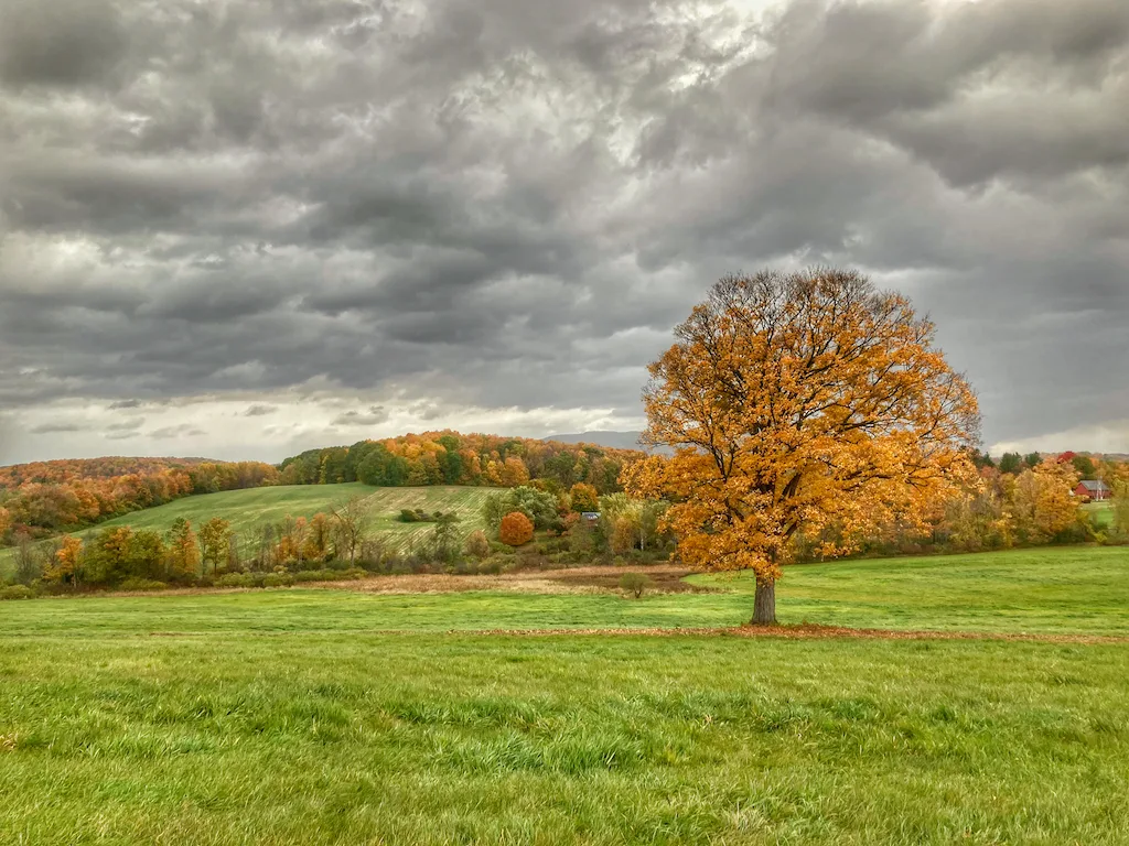 First Signs Of Fall In Vermont