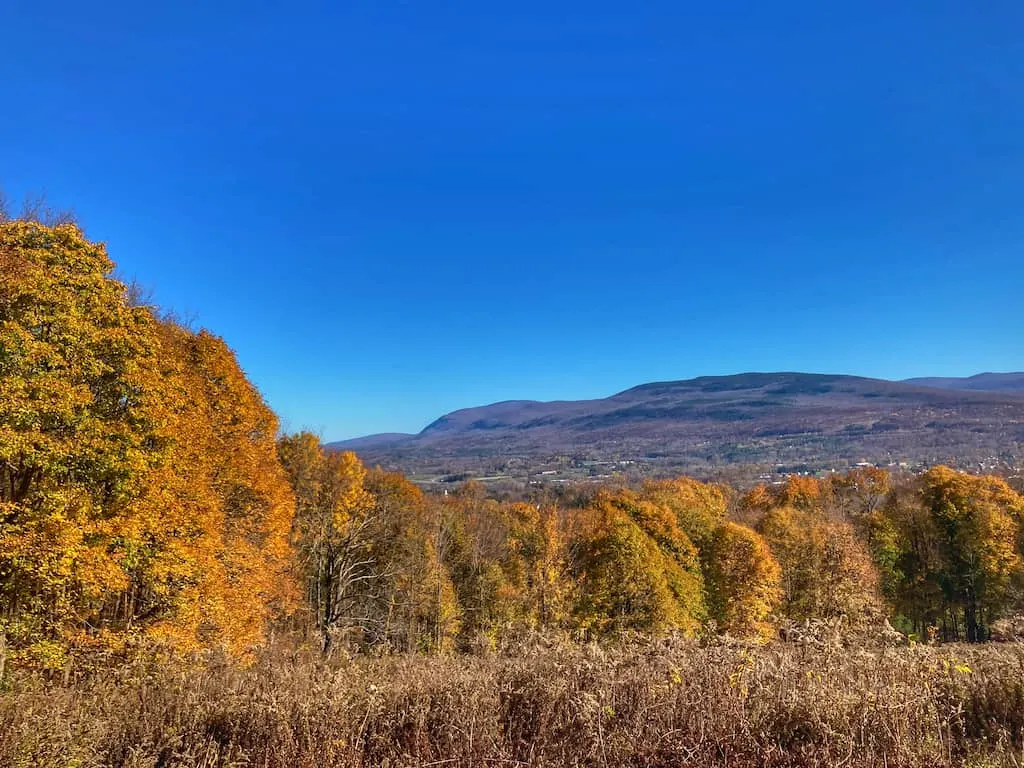 Fall foliage views from Bennington Area Trail System (BATS).