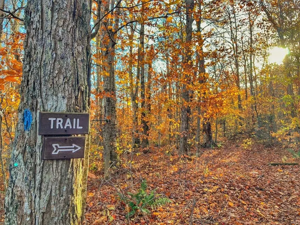 A hiking trail sign in the fall woods of Vermont.