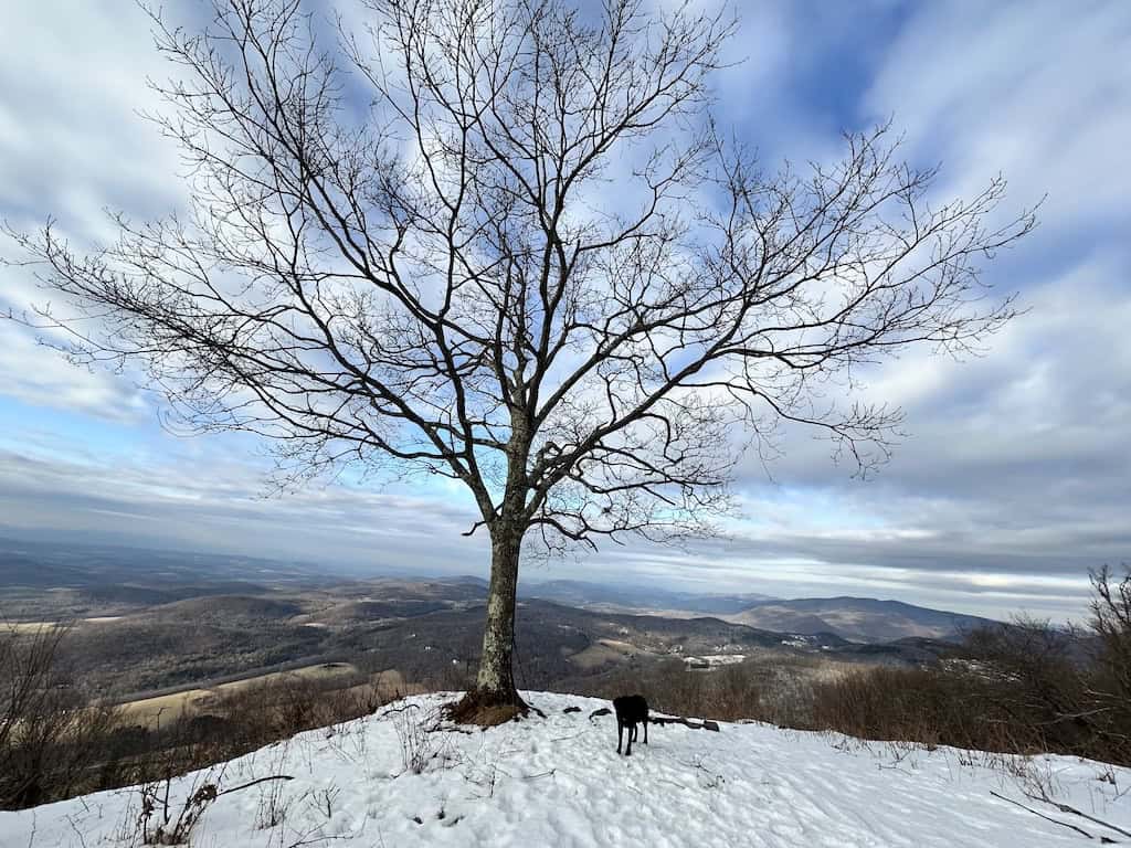 The winter view from the top of Mount Antone in Rupert, Vermont. 