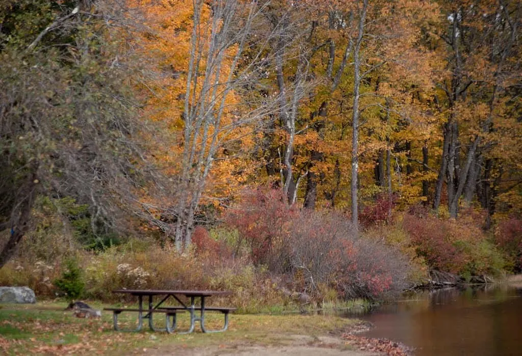 The perfect picnic spot at Hapgood Pond in the Green Mountain National Forest.